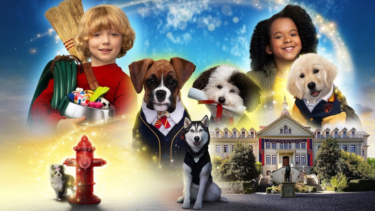 Pup Academy - Spanish TV show backdrop