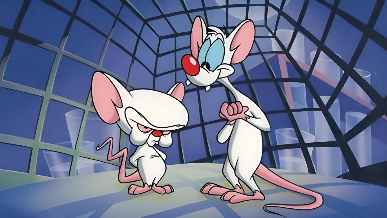 Pinky and the Brain - Spanish TV show backdrop